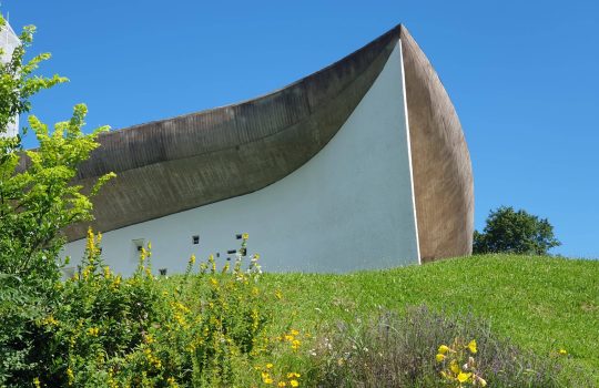 La chapelle dans un écrin de verdure ©J.Carmagnat/AONDH/Tous droits réservés La chapelle de Ronchamp dans un écrin de verdure : au coeur de la biodiversité ©J.Carmagnat/AONDH/Tous droits réservés